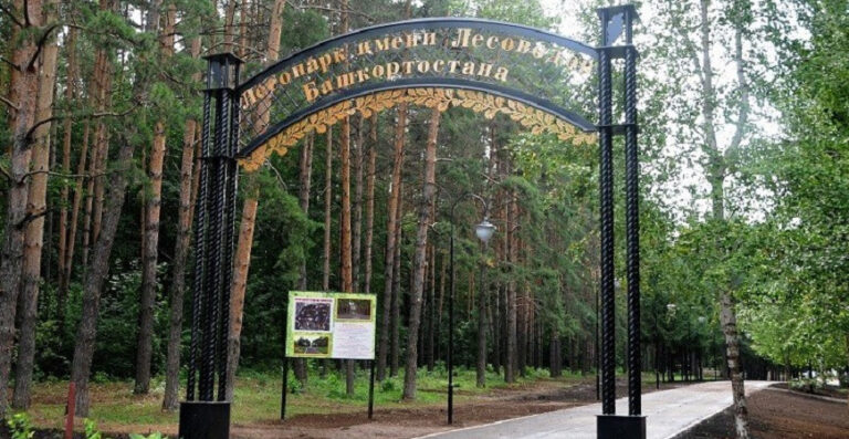 На благоустройство парка Лесоводов в Уфе направят более 386 млн рублей.