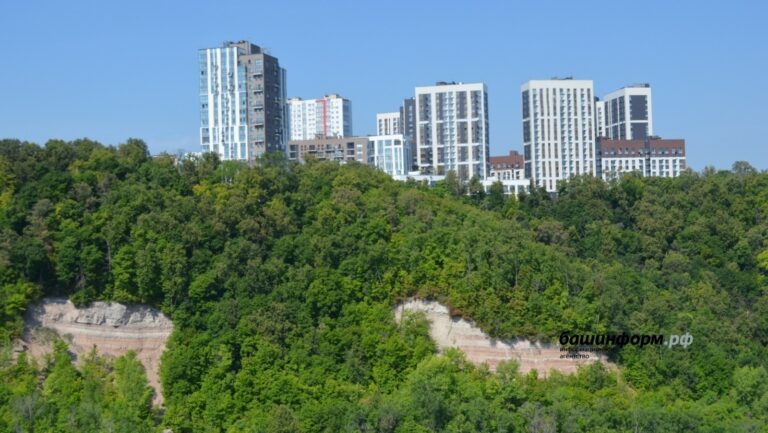 В Уфе высадят более 6 тысяч деревьев и кустарников