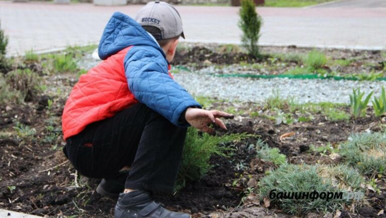 В Башкирии ограничат площадь земельных участков под личное подсобное хозяйство