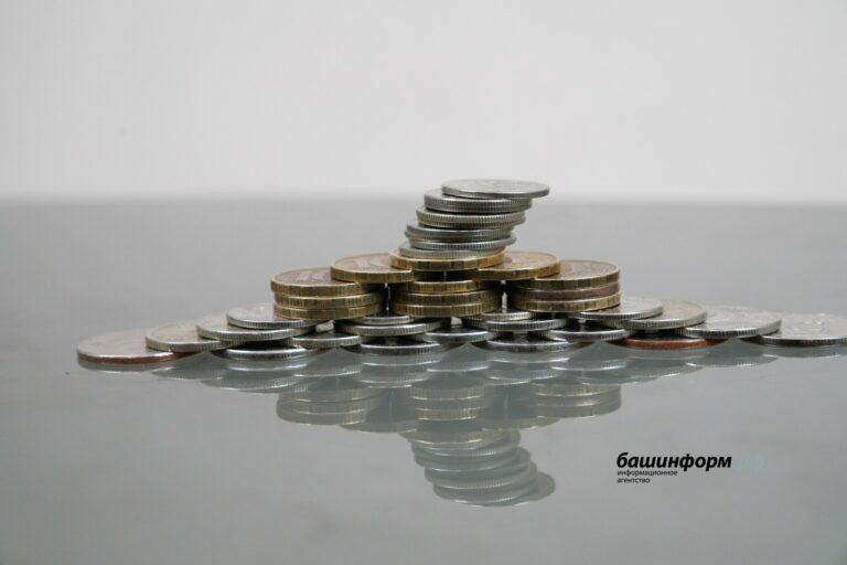 Госсобрание Башкирии приняло закон об исполнении бюджета региона в 2023 году