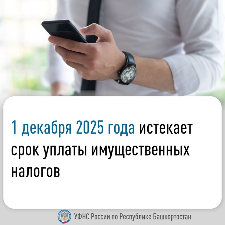 1 декабря 2025 года истекает срок уплаты имущественных налогов